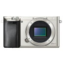 SONY ソニー ミラーレス一眼カメラ α6000 ボディ (ILCE-6000 S) シルバー