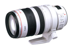 Υ EF28-300mm F3.5-5.6L IS USMڥ᡼36