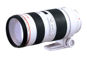 Υ EF70-200mm F2.8L USMڥ᡼36