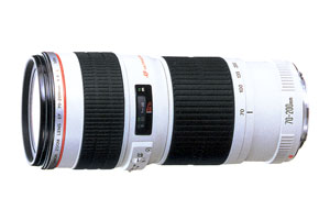 Υ EF70-200mm F4L USMڥ᡼36