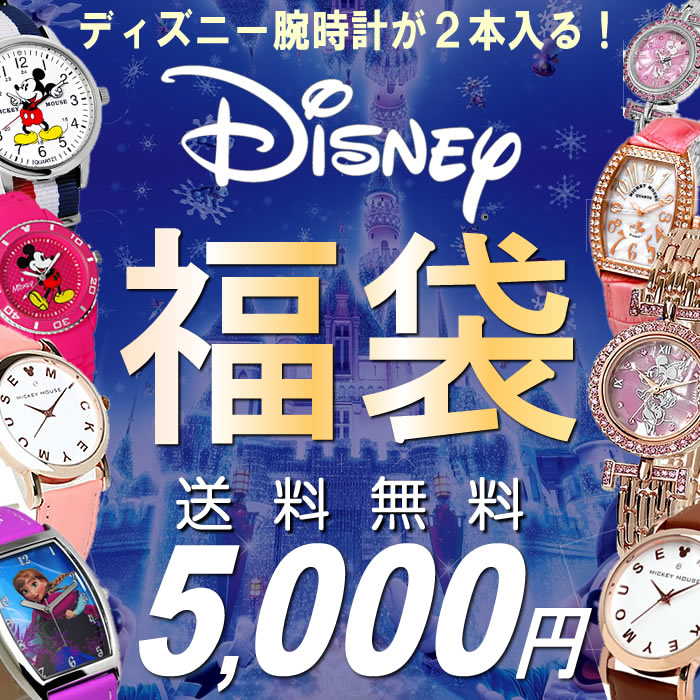 福袋 2019　ディズニー 腕時計 2点セット ミッキー ミニー ウォッチ レディース 女性 キッズ 子供 数量限定 送料無料 5,000円 ウォッチ ランキング ブランド