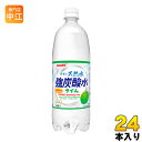 〔クーポン配布中〕 サンガリア 伊賀の天然水 強炭酸水 ライ...