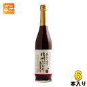 〔クーポン配布中〕 アルプス 2020 あらしぼり 信州ぶどう コンコード 500ml 瓶 6本入 〔果汁飲料〕