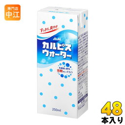 エルビー <strong>カルピスウォーター</strong> 250ml <strong>紙パック</strong> 48本 (24本入×2 まとめ買い) 〔乳性飲料〕