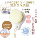 とろける濃密な泡×超極細毛 リッチホイップブラシ SHO-BI 洗顔用ブラシ 洗顔 ブラシ 超極細毛 毛穴の汚れ 角質