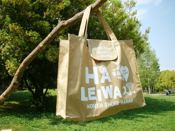 ҥåȥ꡼Υߥ˥о졪HAWAIIϥ쥤Хåߥˡʥʥåġ HALEIWA SUPER MARKETϥ磻ߡꥫߡꥫ󻨲