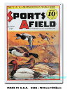 AJuLŔ@SPORTS AFIELD@-J-