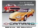 AJuLŔ@J}@-Camaro Tribute-