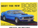 AJuLŔ@}X^O@-Mustang Boss 429-