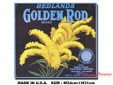 AJuLŔ@REDLANDS GOLDEN ROD