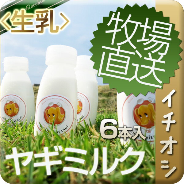 【期間限定】牧場直送愛犬用フレッシュヤギミルク（生）150ml　6本セット国産ヤギミルク/ペット/やぎみるく/山羊ミルク/ヤギミルク/ゴートミルク/goat milk/ドッグフード/キアッケレカーニ/犬用おやつ/犬　おやつ/手作り食/犬用グルメ/犬 グルメ