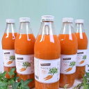 ¤Ë¤ó¤¸¤ó¥¸¥å¡¼¥¹¡Ê1,000ml¡ß6ËÜÆþ¤ê¡Ë