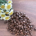 コーヒー豆 【送料無料】 コーヒー専門店 シングルオリジン(単一農園)【エチオピア イルガチェフG1 ベギドゥ農園】お試し 100g 【キャンバスコーヒー】