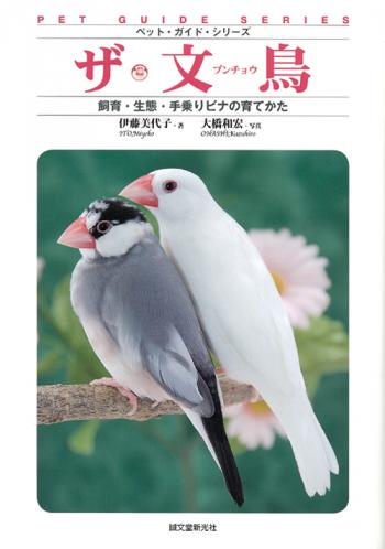 ザ・文鳥