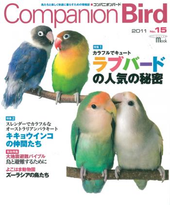 コンパニオンバード No.15鳥専門の情報誌♪【雑誌】【インコ・オウム】【ラブバード特集】【鳥との避難】【companion bird】【書籍】【本】【cap!】