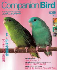 コンパニオンバード No.9鳥専門の情報誌♪【雑誌】【インコ・オウム】【サザナミインコ特集】【トレーニング】【companion bird】【書籍】【本】【cap!】