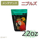 賞味期限:2020/1/11【ラウディブッシュ】デイリーメンテナンスニブルズ 22oz(624g)
