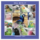 2012年版366days 鳥どりカレンダー