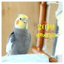 【誠文堂新光社】2019年大判カレンダー...