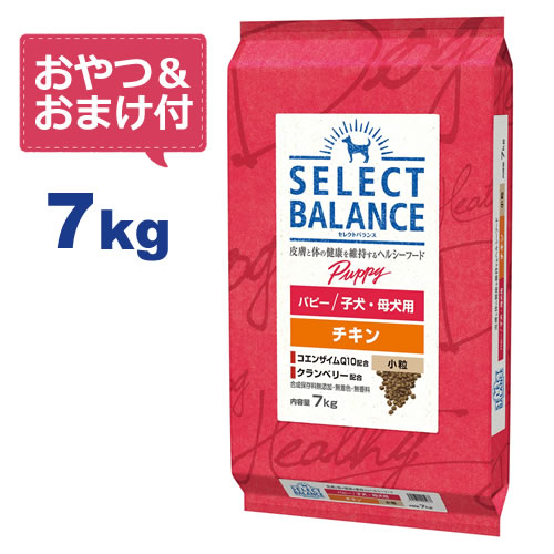 【おやつ＆おまけ付き♪】セレクトバランス <strong>パピー</strong> チキン 小粒 7kg　子犬・母犬用 【送料無料】【Select Balance セレクト・バランス （子犬用）】