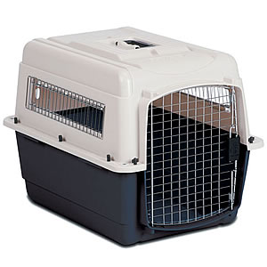 ̵ۥХꥱͥ롡ȥ顡顼P200 (M)