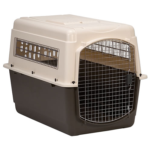 ̵ۥХꥱͥ롡ȥ顡顼P500 (XL)