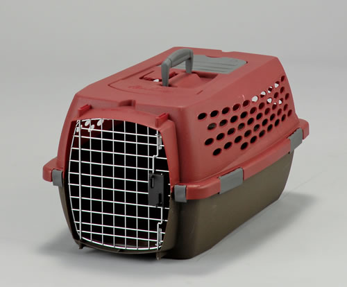 ̵۾淿ΰư¤˥ͥ륭֡M