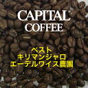 コーヒー市場ハンドピックキリマンジャロAA・エーデルワイス農園200g (粉・豆)