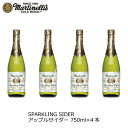 【Martinelli's】パーティーサイズマルティネリスパ...