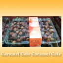 【当店ポイント5倍】クール便発送【COSTOCコストコ】レッドシードレスグレープ 1.8kg
