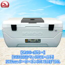 【送料無料】【IGLOO イグルー】【MAXCOLD マックスコールド】2019ver. クーラーボッ