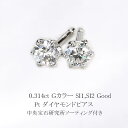 0.314ct Gカラー SI1、SI2 Good プラチナダイヤモンドピアス【中央宝石研究所グレーディング】(sdg0538)(6本爪 一粒 ダイヤモンド ピアス)
