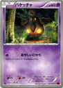 ポケモンカードゲームXY バケッチャ / XY1 コレクションY / XY1 / Pokemon