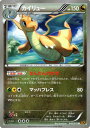 ポケモンカードゲーム XY カイリュー ...