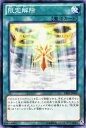 遊戯王カード 限定解除 デュエリスト・エディション