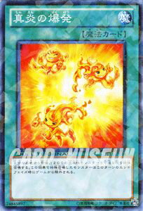 遊戯王カード 真炎の爆発 破滅の邪龍 ウロボロス！！ (DT14) YuGiOh!