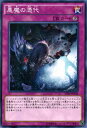 遊戯王 悪魔の憑代 ペンデュラム・ドミネーション ストラクチャー デッキ(SD30) YuGiOh!