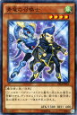 遊戯王 青竜の召喚士 / スターターデッキ 2014(ST14)/ YuGiOh！【遊戯王カード】