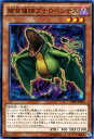 遊戯王カード 捕食植物プテロペンテス フュージョン・エンフォーサーズ (SPFE) YuGiOh! 遊戯王カード 捕食植物プテロペンテス フュージョン・エンフォーサーズ (SPFE) YuGiOh!