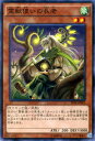 遊戯王 霊獣使いの長老 / トライブ・フォース(SPTR)/ YuGiOh!【遊戯王カード】 遊戯王 霊獣使いの長老 / トライブ・フォース(SPTR)/ YuGiOh!【遊戯王カード】
