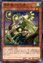 遊戯王 霊獣使いの長老 / トライブ・フォース(SPTR)/ YuGiOh！【遊戯王カード】