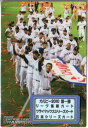 カルビー2010 第一弾 リーグ優勝・クライマックスシリーズ・日本シリーズカードコンプリートセット カルビー2010 第一弾 リーグ優勝・クライマックスシリーズ・日本シリーズカードコンプリートセット