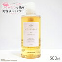 ケアネス シャンプーFF(フルーティーフローラル) 500ml