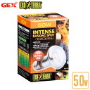 GEX サングロータイトビームバスキング スポットランプ50W PT2135 【ジェックス/GEX/エキゾテラ】【ライティング/照明器具/電球】【トカゲ/カメ/カエル/カメレオン】【爬虫類飼育用ランプ/水槽/テラリウム】