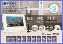IT-09MDF1-IP 防水 フルセグ搭載 9インチ SD USB ポータブルDVDプレーヤー【送料込】