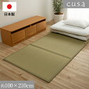 畳 マット い草 マットレス シングル 三つ折り 日本製 「 い草マットレスPro 」 約100×210cm 置き畳 滑り止め付き 防音 簡易畳 消臭 軽量 フローリング 避難所 介護 湿気 カビ防止 プレイマット ベビーマット フロアマット 和室 イケヒコ