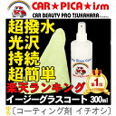 【送料込み】イージーグラスコート300ml【ランキング1位獲...