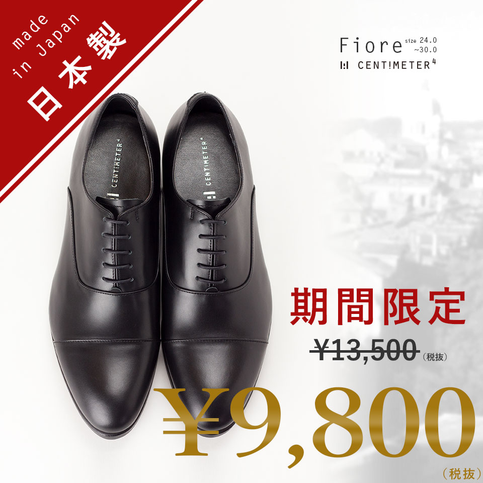 ビジネスシューズ Fiore 【 ビジネスシューズ 本革 メンズ 革靴 ストレートチップ …...:casadepaz:10039780