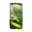 AQUOS L UQ mobile AQUOSL simfree SIMフリー スマホ カバー 全機種対応 あり スマホケース ハード pc ケース ハードケース 森 写真 景色 写真・風景 004644