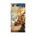 SO-02K XPERIA XZ1 Compact エクスペリア so02k docomo ドコモ スマホ カバー スマホケース スマホカバー PC ハードケース イラスト ライオン 絵画 011463